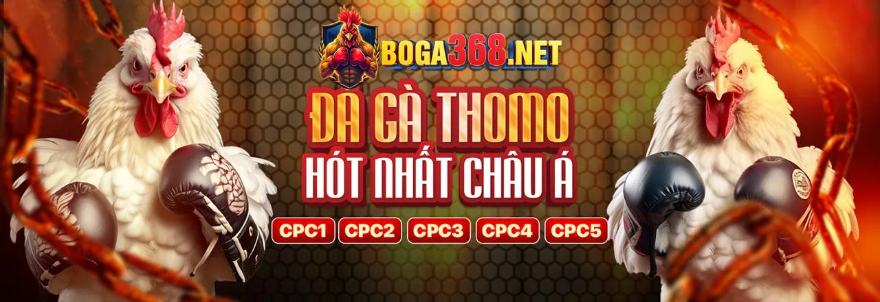 Lợi ích thành viên bj6606 nhà cái
