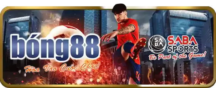 Hướng dẫn cá cược thể thao bj6606
